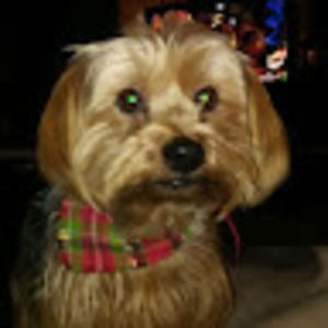 Meet your Posher, Kathryn